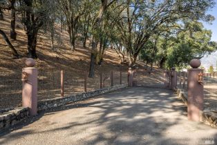 Single Family Residence,  Petrified Forest road, Calistoga, CA 94515 - 4