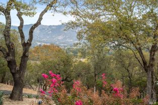 Single Family Residence,  Petrified Forest road, Calistoga, CA 94515 - 35