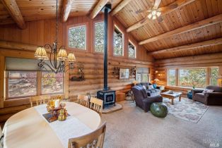 Single Family Residence,  Petrified Forest road, Calistoga, CA 94515 - 10