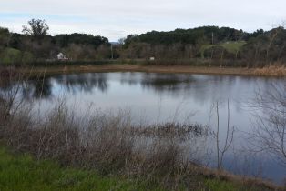 Agriculture,  Stage Gulch road, Petaluma, CA 94954 - 6