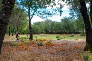 Residential Acreage,  2nd street, Cloverdale, CA 95425 - 13