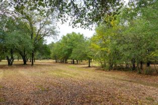 Residential Acreage,  2nd street, Cloverdale, CA 95425 - 19