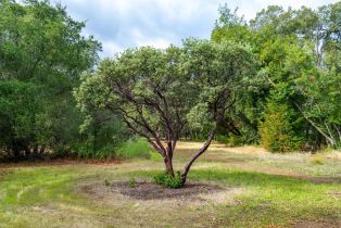 Residential Acreage,  2nd street, Cloverdale, CA 95425 - 17