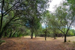 Residential Acreage,  2nd street, Cloverdale, CA 95425 - 14