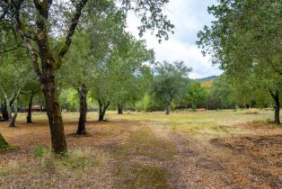 Residential Acreage,  2nd street, Cloverdale, CA 95425 - 20