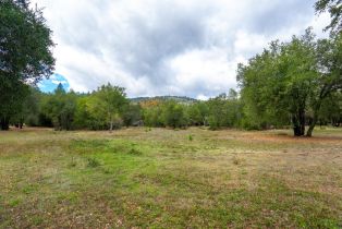 Residential Acreage,  2nd street, Cloverdale, CA 95425 - 22