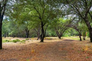 Residential Acreage,  2nd street, Cloverdale, CA 95425 - 24