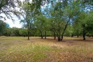 Residential Acreage,  2nd street, Cloverdale, CA 95425 - 21