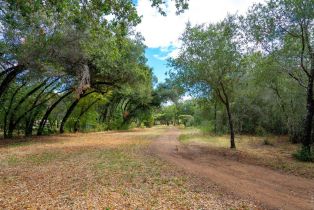 Residential Acreage,  2nd street, Cloverdale, CA 95425 - 16