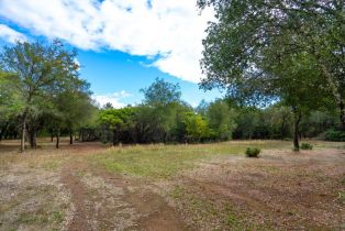 Residential Acreage,  2nd street, Cloverdale, CA 95425 - 15