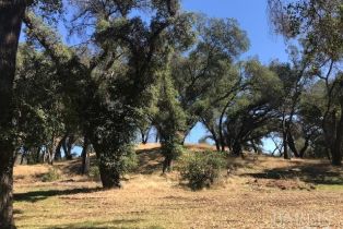 Agriculture,  Franz Valley School road, Calistoga, CA 94515 - 6