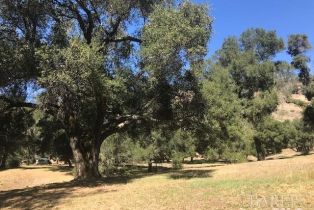 Agriculture,  Franz Valley School road, Calistoga, CA 94515 - 2