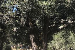 Agriculture,  Franz Valley School road, Calistoga, CA 94515 - 5