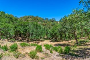 Residential Lot,  Catalpa court, Napa, CA 94558 - 6