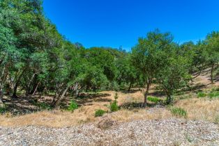 Residential Lot,  Catalpa court, Napa, CA 94558 - 24