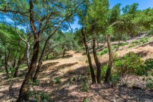 Residential Lot,  Catalpa court, Napa, CA 94558 - 19