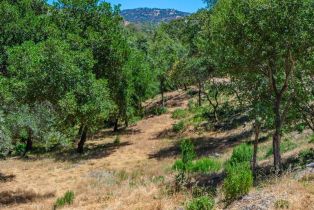 Residential Lot,  Catalpa court, Napa, CA 94558 - 21