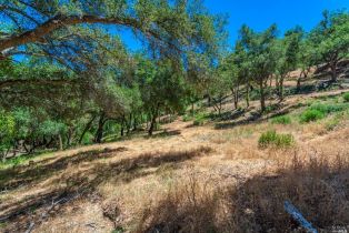 Residential Lot,  Catalpa court, Napa, CA 94558 - 18