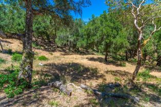 Residential Lot,  Catalpa court, Napa, CA 94558 - 10