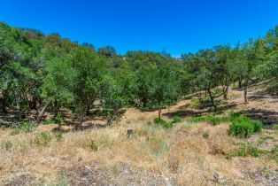 Residential Lot,  Catalpa court, Napa, CA 94558 - 25