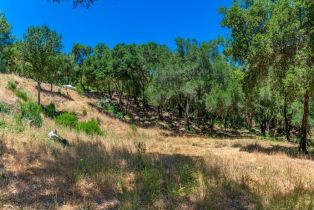 Residential Lot,  Catalpa court, Napa, CA 94558 - 12