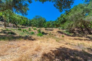 Residential Lot,  Catalpa court, Napa, CA 94558 - 14