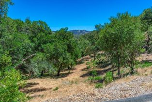 Residential Lot,  Catalpa court, Napa, CA 94558 - 20