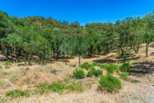 Residential Lot,  Catalpa court, Napa, CA 94558 - 5