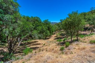 Residential Lot,  Catalpa court, Napa, CA 94558 - 22