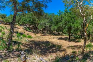 Residential Lot,  Catalpa court, Napa, CA 94558 - 11