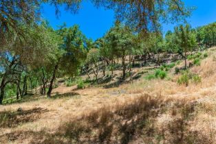 Residential Lot,  Catalpa court, Napa, CA 94558 - 17