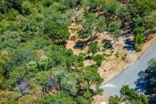 Residential Lot,  Catalpa court, Napa, CA 94558 - 38