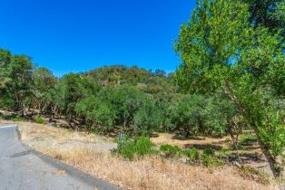 Residential Lot,  Catalpa court, Napa, CA 94558 - 3