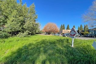 Commercial Lot,  Bodega avenue, Sebastopol, CA 95476 - 2