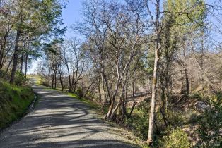 Residential Acreage,  Diamond Mountain road, Calistoga, CA 94515 - 26