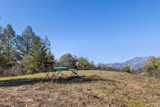 Residential Acreage,  Diamond Mountain road, Calistoga, CA 94515 - 23