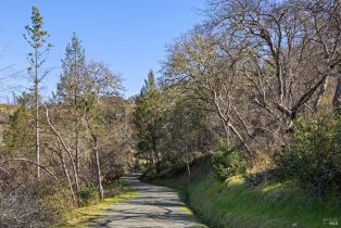 Residential Acreage,  Diamond Mountain road, Calistoga, CA 94515 - 28