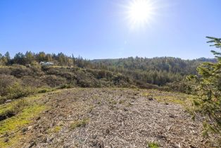 Residential Acreage,  Diamond Mountain road, Calistoga, CA 94515 - 29