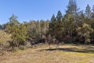 Residential Acreage,  Diamond Mountain road, Calistoga, CA 94515 - 19