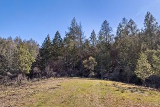 Residential Acreage,  Diamond Mountain road, Calistoga, CA 94515 - 18