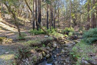 Residential Acreage,  Diamond Mountain road, Calistoga, CA 94515 - 12