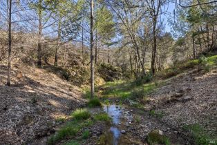 Residential Acreage,  Diamond Mountain road, Calistoga, CA 94515 - 27