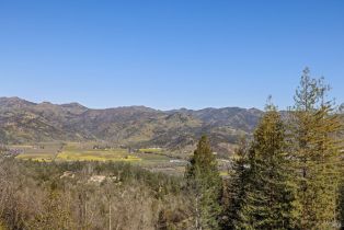 Residential Acreage,  Diamond Mountain road, Calistoga, CA 94515 - 35