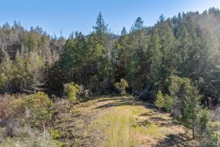 Residential Acreage,  Diamond Mountain road, Calistoga, CA 94515 - 5