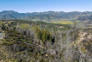 Residential Acreage,  Diamond Mountain road, Calistoga, CA 94515 - 7