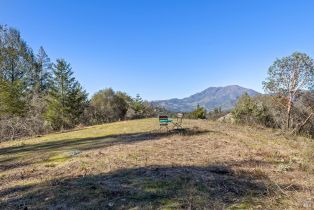 Residential Acreage,  Diamond Mountain road, Calistoga, CA 94515 - 22