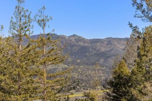 Residential Acreage,  Diamond Mountain road, Calistoga, CA 94515 - 37