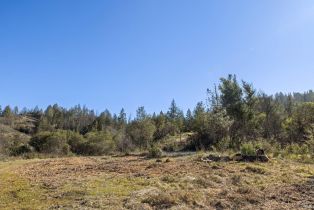 Residential Acreage,  Diamond Mountain road, Calistoga, CA 94515 - 14