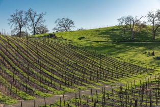 Single Family Residence,  Westside road, Healdsburg, CA 95448 - 44