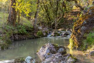 Single Family Residence,  Westside road, Healdsburg, CA 95448 - 31